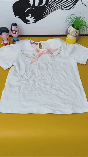 Portable Mini Ironing Machine