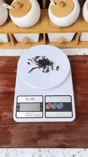 Kitchen Scale