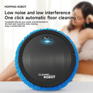 Fully Automatic Intelligent Mute Sweeping Robot